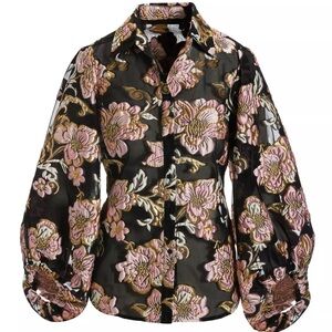 Boston Proper Foil Burnout Organza Balloon Sleeve Shirt